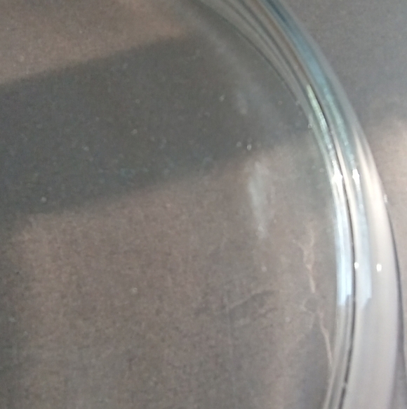 Pyrex England casserole 8 inches Emily spring garden pattern - Picture 7 of 9